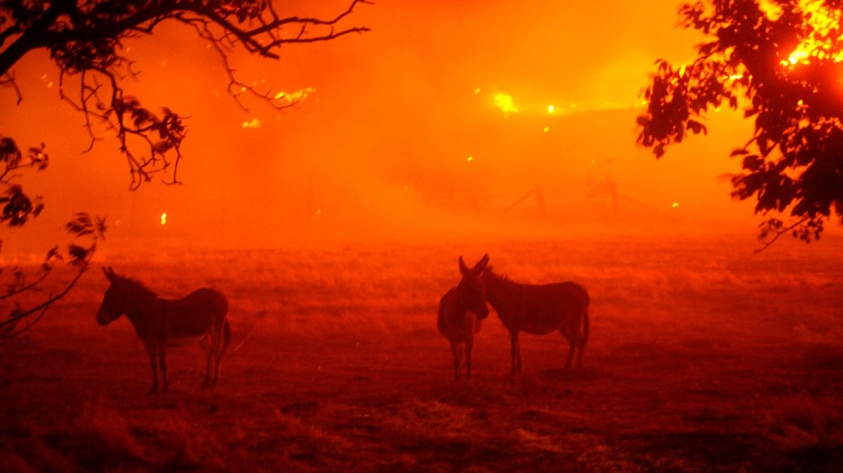 Fotky ohnivého pekla: Kalifornii bičují blesky, hoří stovky míst